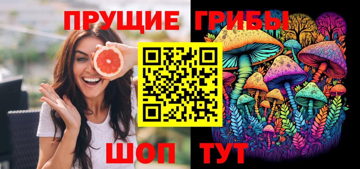 Псилоцибиновые грибы Psilocybine cubensis  Вход с VPN  Котовск 